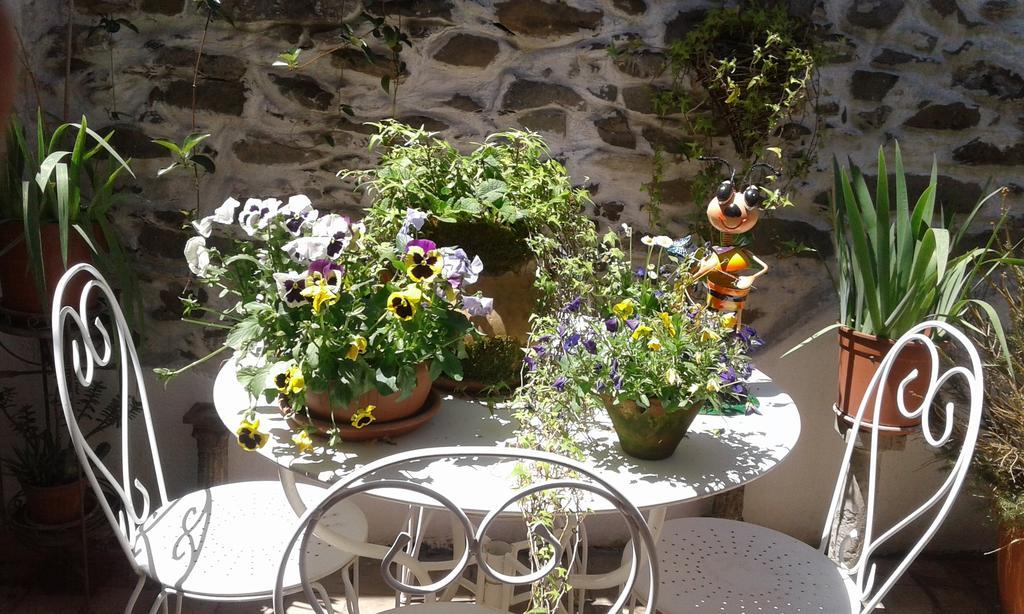 Isolabona Casa Med Holiday Home מראה חיצוני תמונה